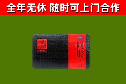 景洪市回收阿胶