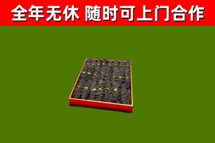 景洪市回收海参